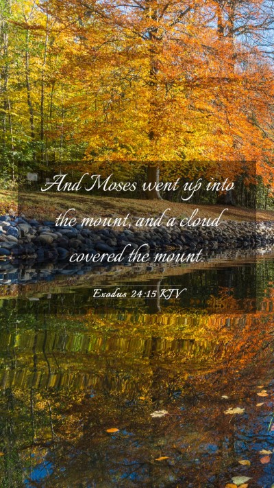 Picture 03 - Exodus 24:15 KJV Mobile Phone Wallpaper - And Moses went up into the mount, and a cloud - Mobile Bible Verse Wallpaper