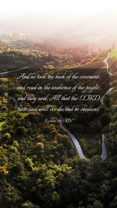 Picture 03 - Exodus 24:7 KJV Mobile Phone Wallpaper - And he took the book of the covenant, and read in - Mobile Bible Verse Wallpaper
