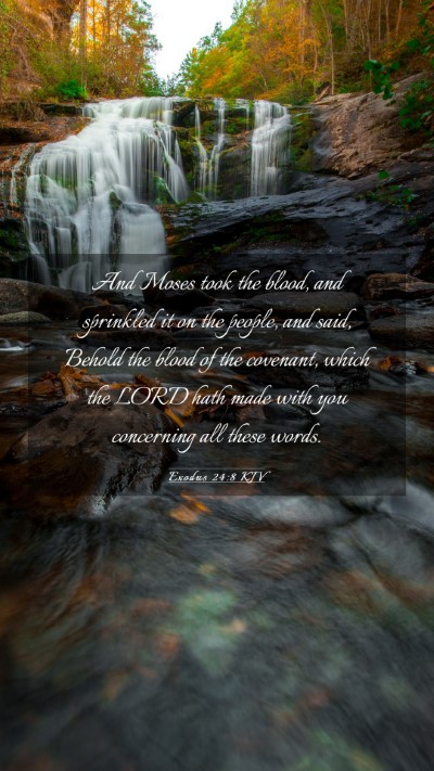 Picture 03 - Exodus 24:8 KJV Mobile Phone Wallpaper - And Moses took the blood, and sprinkled it on the - Mobile Bible Verse Wallpaper