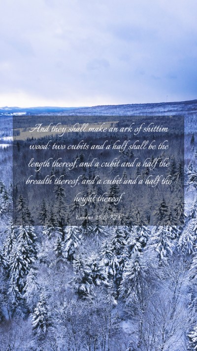 Picture 03 - Exodus 25:10 KJV Mobile Phone Wallpaper - And they shall make an ark of shittim wood: two - Mobile Bible Verse Wallpaper