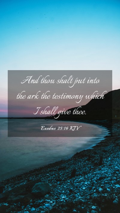Picture 03 - Exodus 25:16 KJV Mobile Phone Wallpaper - And thou shalt put into the ark the testimony - Mobile Bible Verse Wallpaper