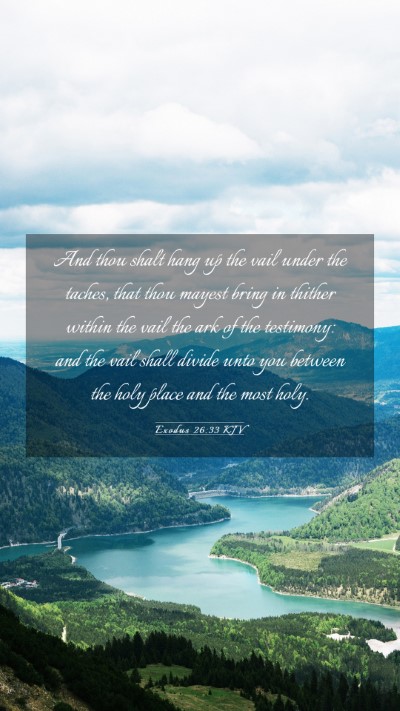 Picture 03 - Exodus 26:33 KJV Mobile Phone Wallpaper - And thou shalt hang up the vail under the taches, - Mobile Bible Verse Wallpaper