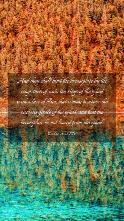 Picture 03 - Exodus 28:28 KJV Mobile Phone Wallpaper - And they shall bind the breastplate by the rings - Mobile Bible Verse Wallpaper