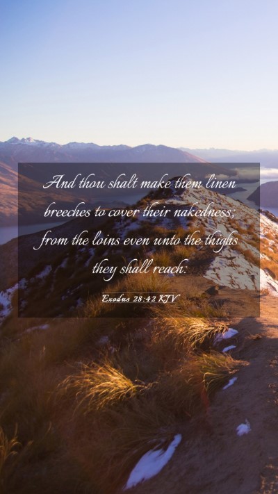 Picture 03 - Exodus 28:42 KJV Mobile Phone Wallpaper - And thou shalt make them linen breeches to cover - Mobile Bible Verse Wallpaper