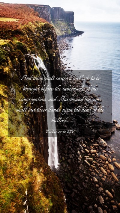 Picture 03 - Exodus 29:10 KJV Mobile Phone Wallpaper - And thou shalt cause a bullock to be brought - Mobile Bible Verse Wallpaper