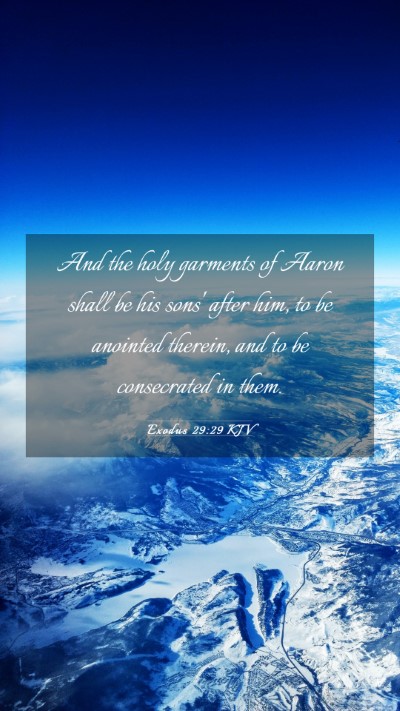 Picture 03 - Exodus 29:29 KJV Mobile Phone Wallpaper - And the holy garments of Aaron shall be his sons' - Mobile Bible Verse Wallpaper