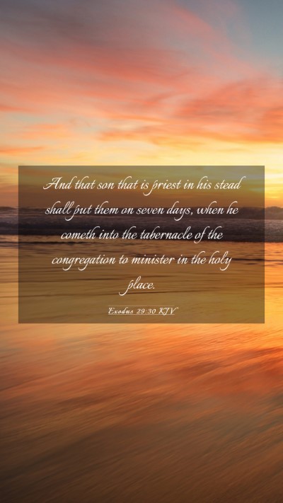 Picture 03 - Exodus 29:30 KJV Mobile Phone Wallpaper - And that son that is priest in his stead shall - Mobile Bible Verse Wallpaper