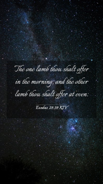 Picture 03 - Exodus 29:39 KJV Mobile Phone Wallpaper - The one lamb thou shalt offer in the morning; and - Mobile Bible Verse Wallpaper