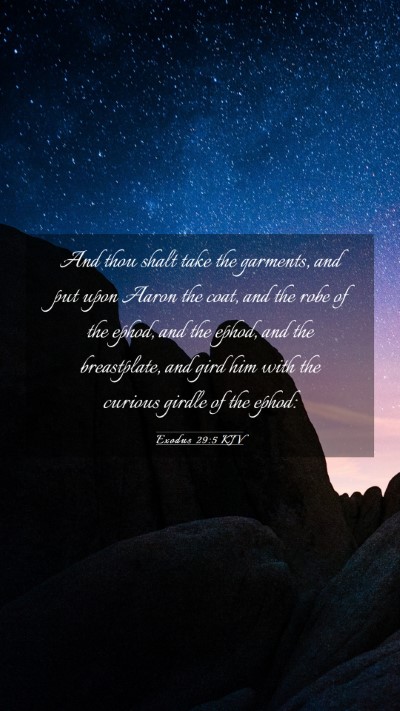 Picture 03 - Exodus 29:5 KJV Mobile Phone Wallpaper - And thou shalt take the garments, and put upon - Mobile Bible Verse Wallpaper