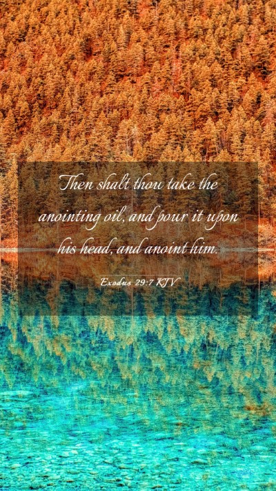 Picture 03 - Exodus 29:7 KJV Mobile Phone Wallpaper - Then shalt thou take the anointing oil, and pour - Mobile Bible Verse Wallpaper
