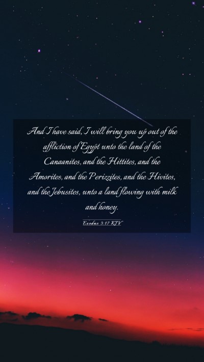 Picture 03 - Exodus 3:17 KJV Mobile Phone Wallpaper - And I have said, I will bring you up out of the - Mobile Bible Verse Wallpaper