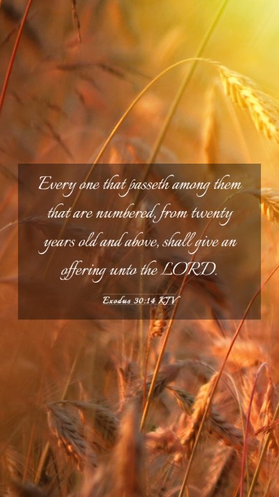Picture 03 - Exodus 30:14 KJV Mobile Phone Wallpaper - Every one that passeth among them that are - Mobile Bible Verse Wallpaper