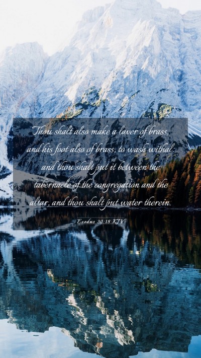 Picture 03 - Exodus 30:18 KJV Mobile Phone Wallpaper - Thou shalt also make a laver of brass, and his - Mobile Bible Verse Wallpaper