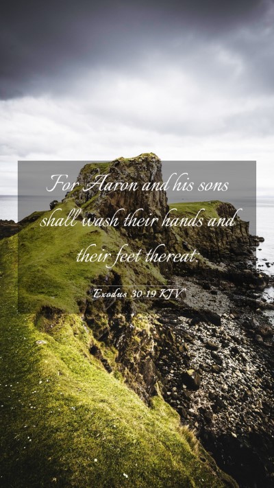 Picture 03 - Exodus 30:19 KJV Mobile Phone Wallpaper - For Aaron and his sons shall wash their hands and - Mobile Bible Verse Wallpaper