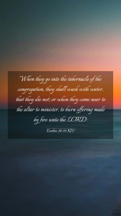 Picture 03 - Exodus 30:20 KJV Mobile Phone Wallpaper - When they go into the tabernacle of the - Mobile Bible Verse Wallpaper