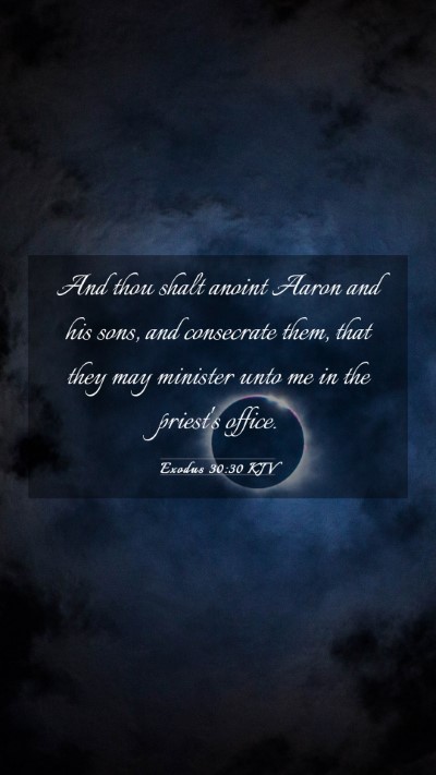Picture 03 - Exodus 30:30 KJV Mobile Phone Wallpaper - And thou shalt anoint Aaron and his sons, and - Mobile Bible Verse Wallpaper
