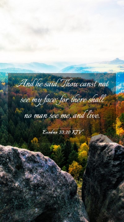 Picture 03 - Exodus 33:20 KJV Mobile Phone Wallpaper - And he said, Thou canst not see my face: for - Mobile Bible Verse Wallpaper