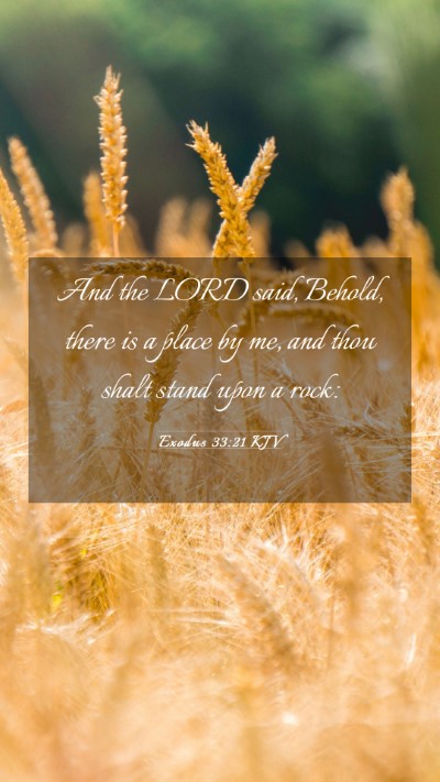 Picture 03 - Exodus 33:21 KJV Mobile Phone Wallpaper - And the LORD said, Behold, there is a place by - Mobile Bible Verse Wallpaper