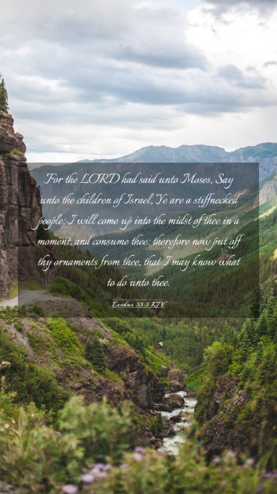 Picture 03 - Exodus 33:5 KJV Mobile Phone Wallpaper - For the LORD had said unto Moses, Say unto the - Mobile Bible Verse Wallpaper
