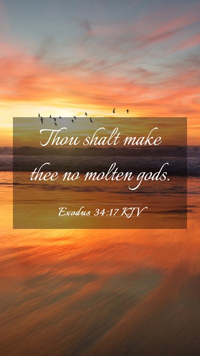 Picture 03 - Exodus 34:17 KJV Mobile Phone Wallpaper - Thou shalt make thee no molten - Mobile Bible Verse Wallpaper