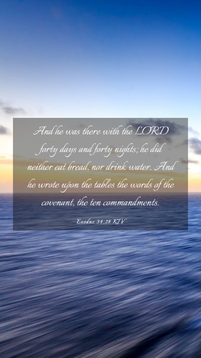 Picture 03 - Exodus 34:28 KJV Mobile Phone Wallpaper - And he was there with the LORD forty days and - Mobile Bible Verse Wallpaper