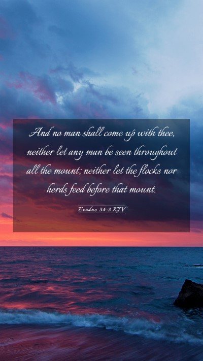 Picture 03 - Exodus 34:3 KJV Mobile Phone Wallpaper - And no man shall come up with thee, neither let - Mobile Bible Verse Wallpaper