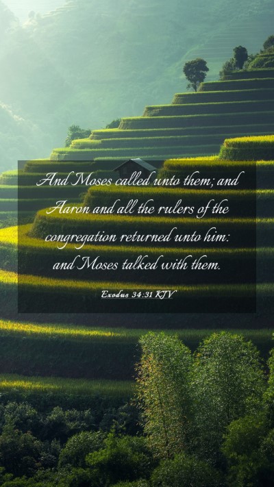 Picture 03 - Exodus 34:31 KJV Mobile Phone Wallpaper - And Moses called unto them; and Aaron and all the - Mobile Bible Verse Wallpaper
