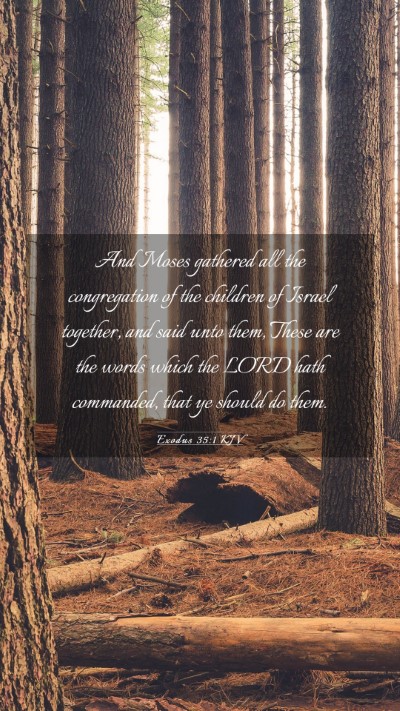 Picture 03 - Exodus 35:1 KJV Mobile Phone Wallpaper - And Moses gathered all the congregation of the - Mobile Bible Verse Wallpaper