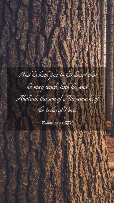 Picture 03 - Exodus 35:34 KJV Mobile Phone Wallpaper - And he hath put in his heart that he may teach, - Mobile Bible Verse Wallpaper