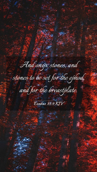 Picture 03 - Exodus 35:9 KJV Mobile Phone Wallpaper - And onyx stones, and stones to be set for the - Mobile Bible Verse Wallpaper