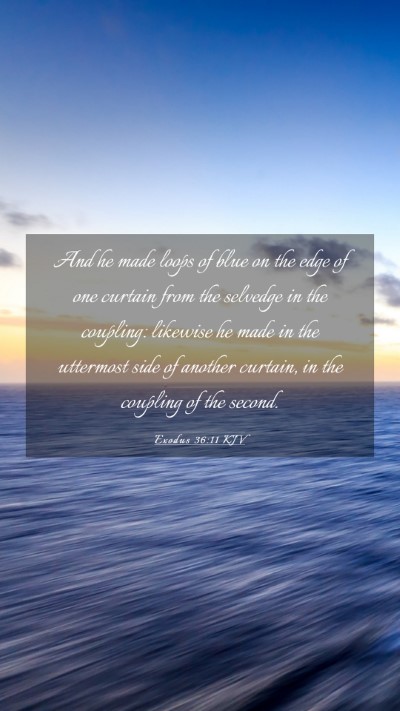 Picture 03 - Exodus 36:11 KJV Mobile Phone Wallpaper - And he made loops of blue on the edge of one - Mobile Bible Verse Wallpaper