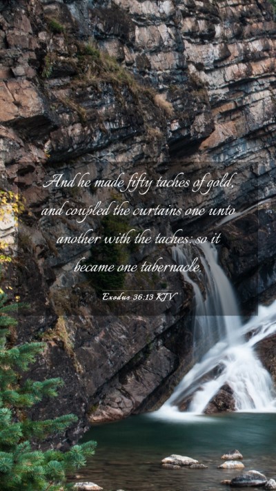 Picture 03 - Exodus 36:13 KJV Mobile Phone Wallpaper - And he made fifty taches of gold, and coupled the - Mobile Bible Verse Wallpaper