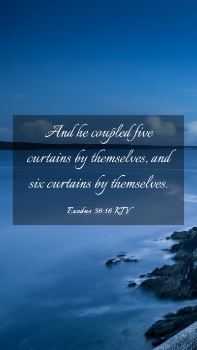 Picture 03 - Exodus 36:16 KJV Mobile Phone Wallpaper - And he coupled five curtains by themselves, and - Mobile Bible Verse Wallpaper