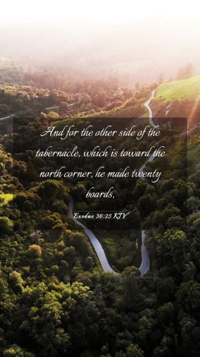Picture 03 - Exodus 36:25 KJV Mobile Phone Wallpaper - And for the other side of the tabernacle, which - Mobile Bible Verse Wallpaper
