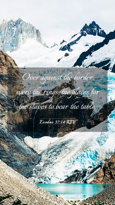 Picture 03 - Exodus 37:14 KJV Mobile Phone Wallpaper - Over against the border were the rings, the - Mobile Bible Verse Wallpaper