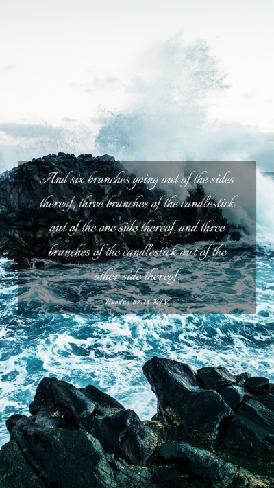Picture 03 - Exodus 37:18 KJV Mobile Phone Wallpaper - And six branches going out of the sides thereof; - Mobile Bible Verse Wallpaper