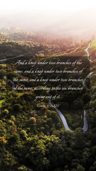 Picture 03 - Exodus 37:21 KJV Mobile Phone Wallpaper - And a knop under two branches of the same, and a - Mobile Bible Verse Wallpaper