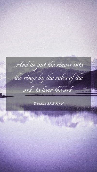 Picture 03 - Exodus 37:5 KJV Mobile Phone Wallpaper - And he put the staves into the rings by the sides - Mobile Bible Verse Wallpaper