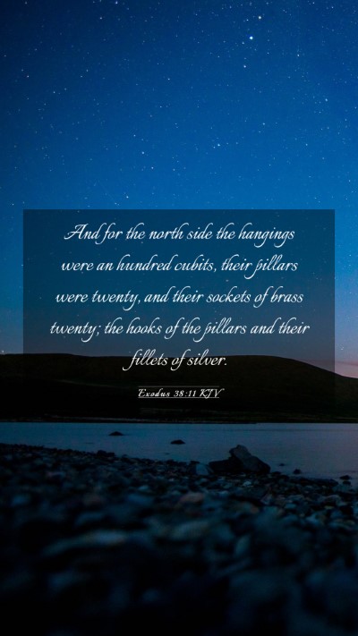Picture 03 - Exodus 38:11 KJV Mobile Phone Wallpaper - And for the north side the hangings were an - Mobile Bible Verse Wallpaper