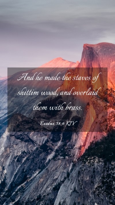 Picture 03 - Exodus 38:6 KJV Mobile Phone Wallpaper - And he made the staves of shittim wood, and - Mobile Bible Verse Wallpaper