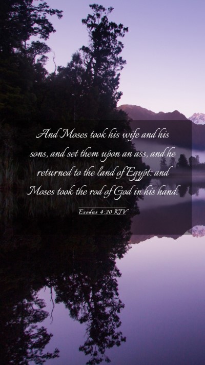 Picture 03 - Exodus 4:20 KJV Mobile Phone Wallpaper - And Moses took his wife and his sons, and set - Mobile Bible Verse Wallpaper
