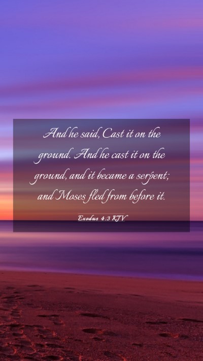 Picture 03 - Exodus 4:3 KJV Mobile Phone Wallpaper - And he said, Cast it on the ground. And he cast - Mobile Bible Verse Wallpaper