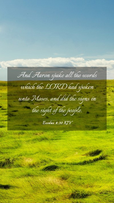 Picture 03 - Exodus 4:30 KJV Mobile Phone Wallpaper - And Aaron spake all the words which the LORD had - Mobile Bible Verse Wallpaper