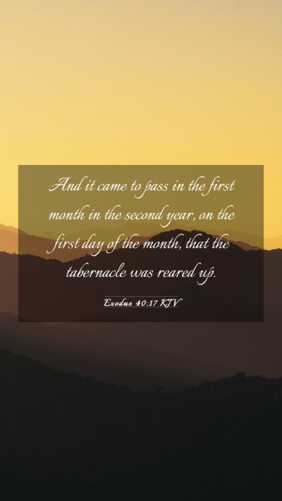 Picture 03 - Exodus 40:17 KJV Mobile Phone Wallpaper - And it came to pass in the first month in the - Mobile Bible Verse Wallpaper