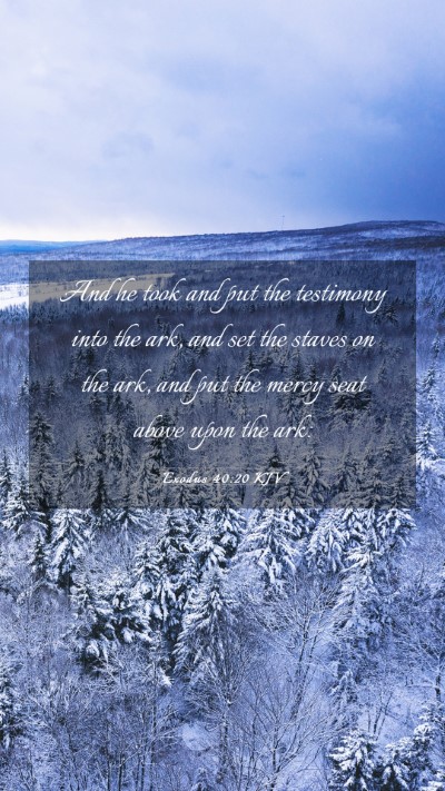 Picture 03 - Exodus 40:20 KJV Mobile Phone Wallpaper - And he took and put the testimony into the ark, - Mobile Bible Verse Wallpaper