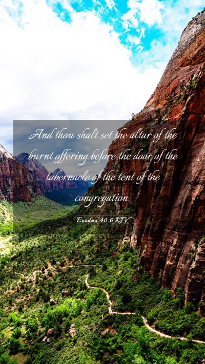 Picture 03 - Exodus 40:6 KJV Mobile Phone Wallpaper - And thou shalt set the altar of the burnt - Mobile Bible Verse Wallpaper