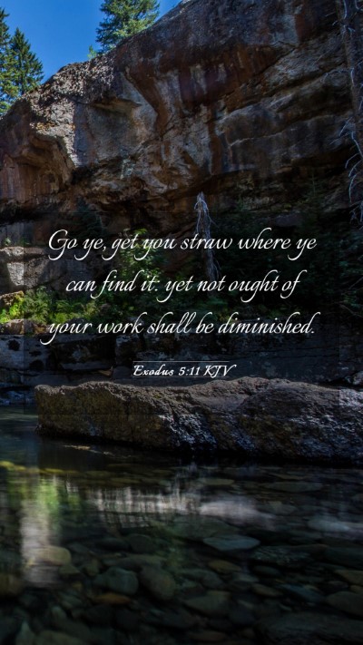 Picture 03 - Exodus 5:11 KJV Mobile Phone Wallpaper - Go ye, get you straw where ye can find it: yet - Mobile Bible Verse Wallpaper