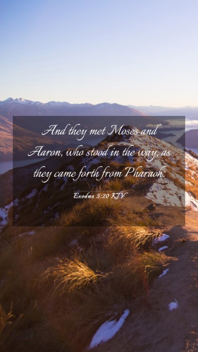 Picture 03 - Exodus 5:20 KJV Mobile Phone Wallpaper - And they met Moses and Aaron, who stood in the - Mobile Bible Verse Wallpaper