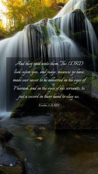 Picture 03 - Exodus 5:21 KJV Mobile Phone Wallpaper - And they said unto them, The LORD look upon you, - Mobile Bible Verse Wallpaper