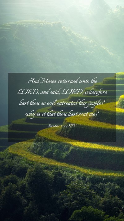 Picture 03 - Exodus 5:22 KJV Mobile Phone Wallpaper - And Moses returned unto the LORD, and said, LORD, - Mobile Bible Verse Wallpaper